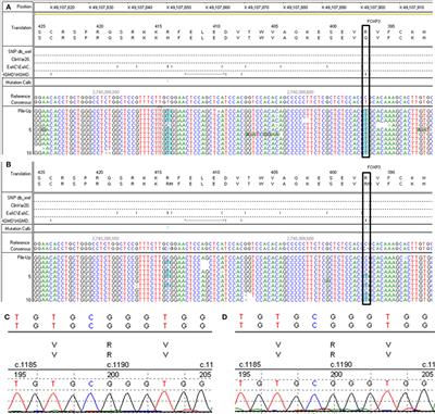 Atypical Late-Onset Immune Dysregulation, Polyendocrinopathy, Enteropathy, X-Linked Syndrome with Intractable Diarrhea: A Case Report